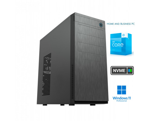 Business i3-13100 16GB 1TB NVME SSD Windows 11 Professional