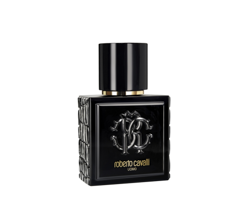 ROBERTO CAVALLI Uomo EDT 100ml