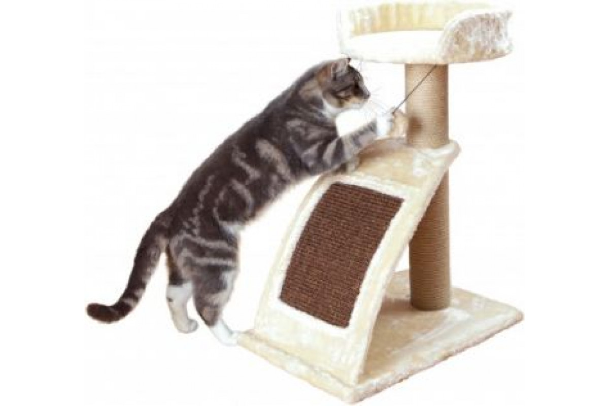 Недорогие когтеточки для кошек. Когтеточка Trixie (48001). Когтеточка вайлдберриз. Валберис когтеточка для кошек. Угловая когтеточка для кошек.