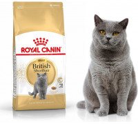 Royal Canin British Shorthair 2kg