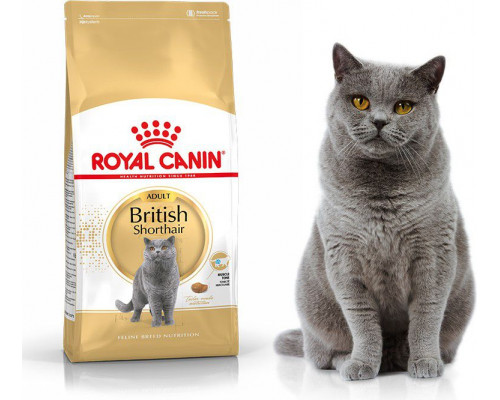 Royal Canin British Shorthair 2kg