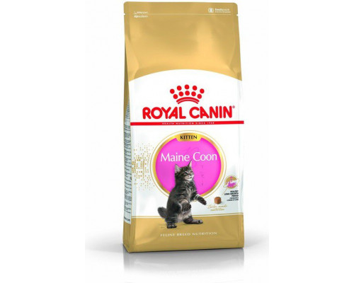 Royal Canin Maine Coon Kitten 10 kg