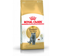 Royal Canin British Shorthair 10kg