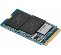 SSD 1TB SSD OWC Aura P13 Pro 1TB M.2 2242 PCI-E x4 Gen3.1 NVMe (OWCS3DN3P3T10)