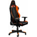 Canyon Corax orange (CND-SGCH4)