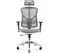 Diablo Chairs V-Basic White-gray