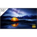 Sony Bravia FW-55BZ40H/1