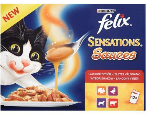 Purina FELIX SENSATIONS IN SAUCE (12X 100 G)