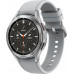 Samsung Galaxy Watch 4 Classic Stainless Steel 46mm LTE Gray (SM-R895FZSAEUE)
