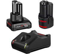 Bosch Set charger + 2 x battery (1600A01NC9)
