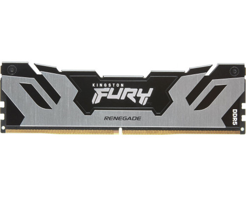 Kingston Fury Renegade, DDR5, 16 GB, 6000MHz, CL32 (KF560C32RS-16)