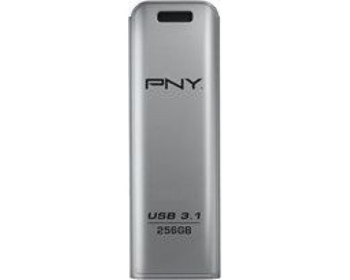 PNY Elite Steel 3.1, 256 GB (FD256ESTEEL31G-EF)