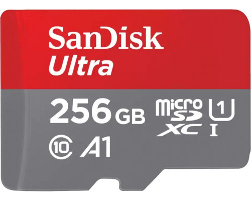 SanDisk Ultra MicroSDXC 256 GB Class 10 UHS-I/U1 A1 (SDSQUAC-256G-GN6MA)