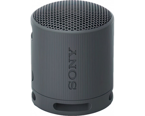 Sony Sony SRS-XB100 Black