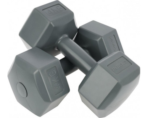 Eb Fit dumbbells bituminous 2 x 4 kg