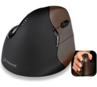 Evoluent Vertical Mouse4 Small (VM4SW)