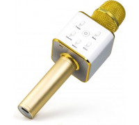 Technaxx MusicMan Karaoke Microphone (BT-X31GOLD)