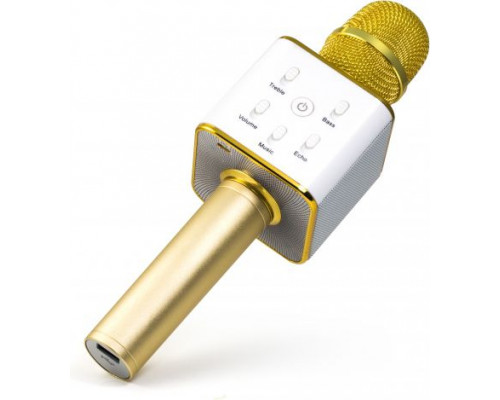 Technaxx MusicMan Karaoke Microphone (BT-X31GOLD)