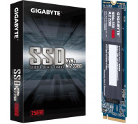 SSD 256GB SSD Gigabyte 256GB M.2 2280 PCI-E x4 Gen3 NVMe (GP-GSM2NE3256GNTD)
