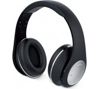 Genius Black (HS-935BT) headphones