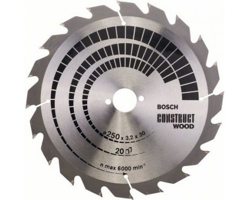 Bosch  Construct Wood 250 x 30mm 20z (2608641774)