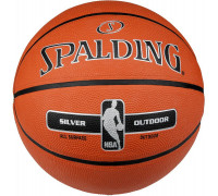 Spalding NBA Silver 3001592010017