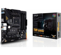 AMD B550 Asus TUF GAMING B550M-PLUS