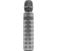 TerraTec Karaoke-Mikrofon mit Lautspercher silber - 105260