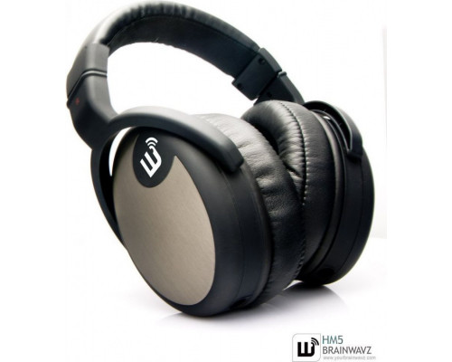 Brainwavz HM5 headphones (2012101099355152647)