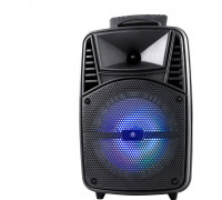 Omega speaker 20W + 3W TWEETER KARAOKE MIC FM BLUETOOTH 