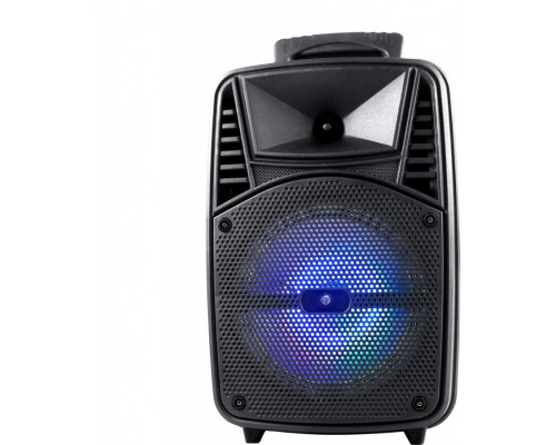 Omega speaker 20W + 3W TWEETER KARAOKE MIC FM BLUETOOTH 