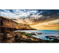 Samsung QE55T Monitor (LH55QETELGCXEN)