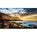 Samsung QE55T Monitor (LH55QETELGCXEN)