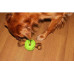 Игрушка для собаки Zolux Bone rubber ball 9.5 cm