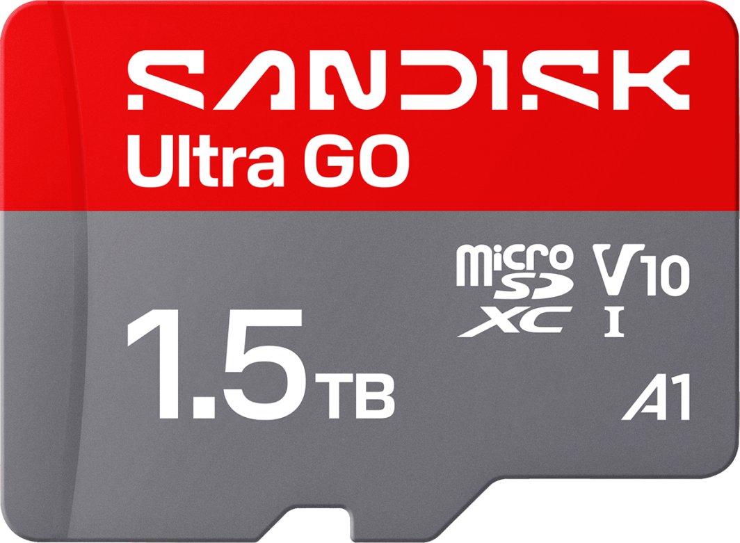 SD  SanDisk Ultra GO MicroSDXC 1